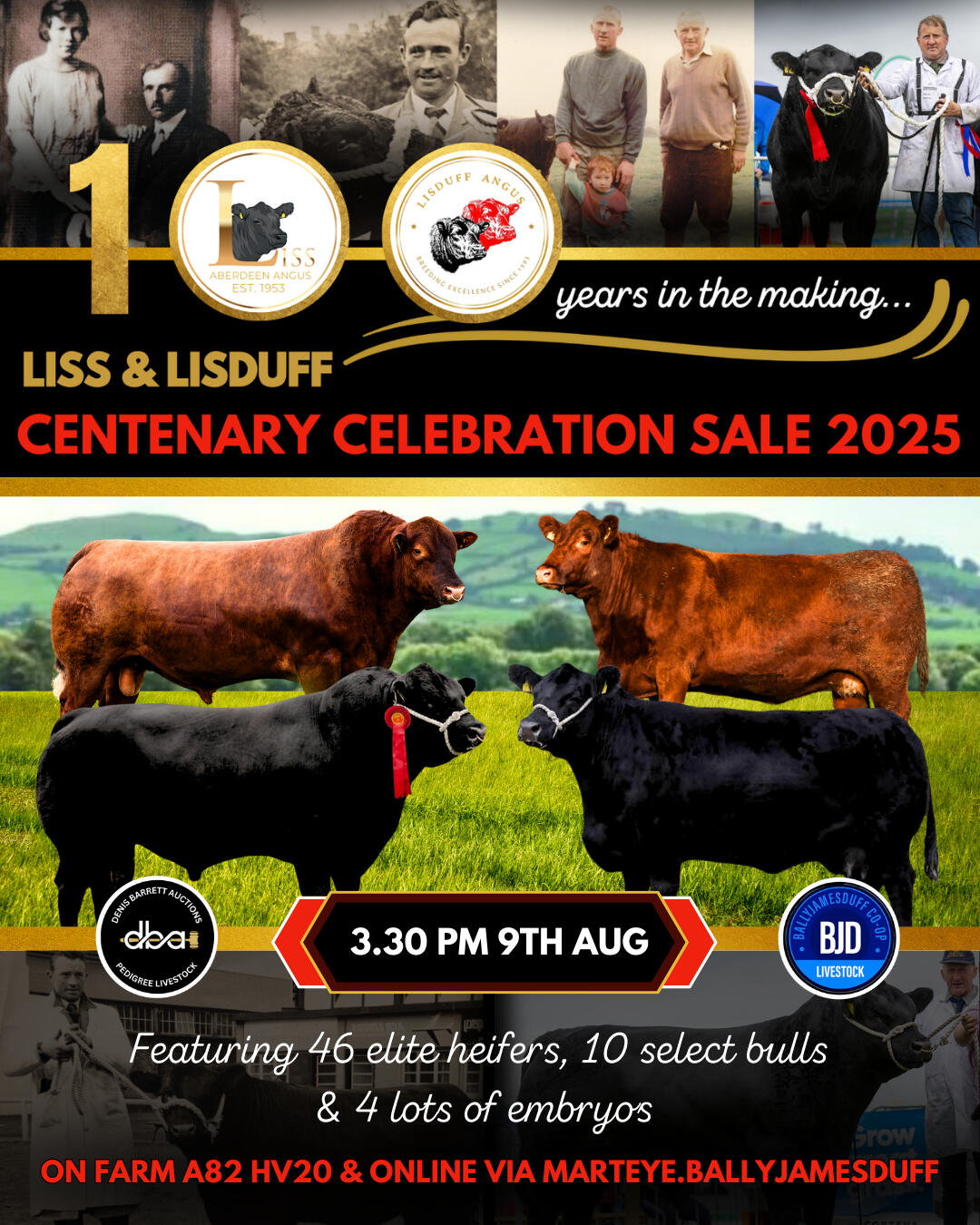 Centenary Celebfation Sale An Elite Angus cattle sale